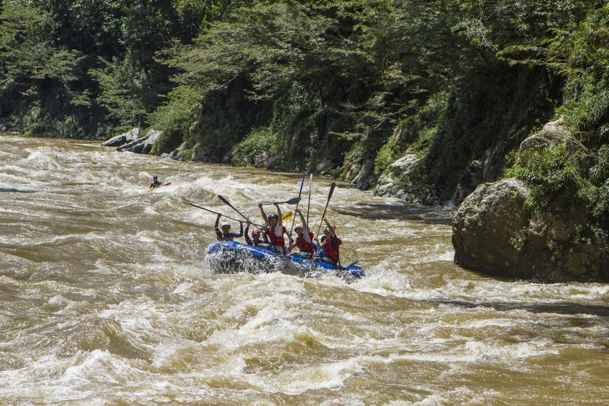 Group of happy clients celebrating with their paddles up in the air